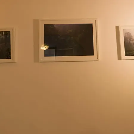 Trastevere Corner Eight بيت ضيافة روما