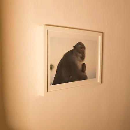 بيت ضيافة Trastevere Corner Eight روما